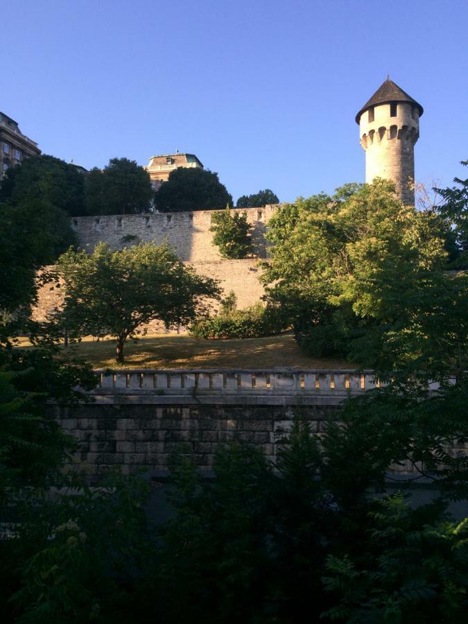 Luxury Apartment View On To The Castle Budapest Eksteriør billede